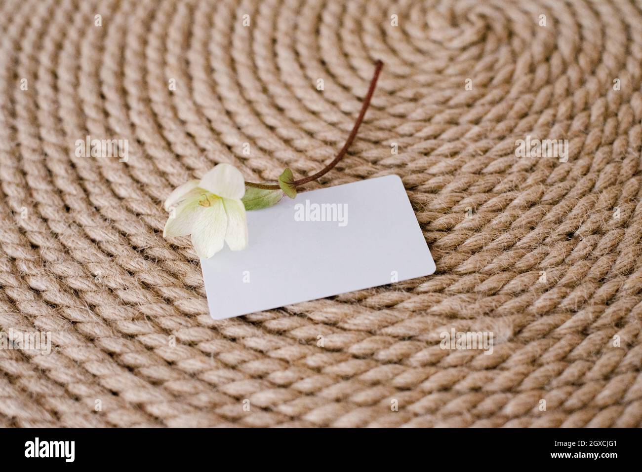 Eine weiße, leere Nachbildung einer Gästekarte auf einem Hintergrund aus Jute-Seil und eine weiße, zarte Blume daneben. Wir servieren eine festliche Hochzeit oder einen Geburtstag bei einem Bankett Stockfoto