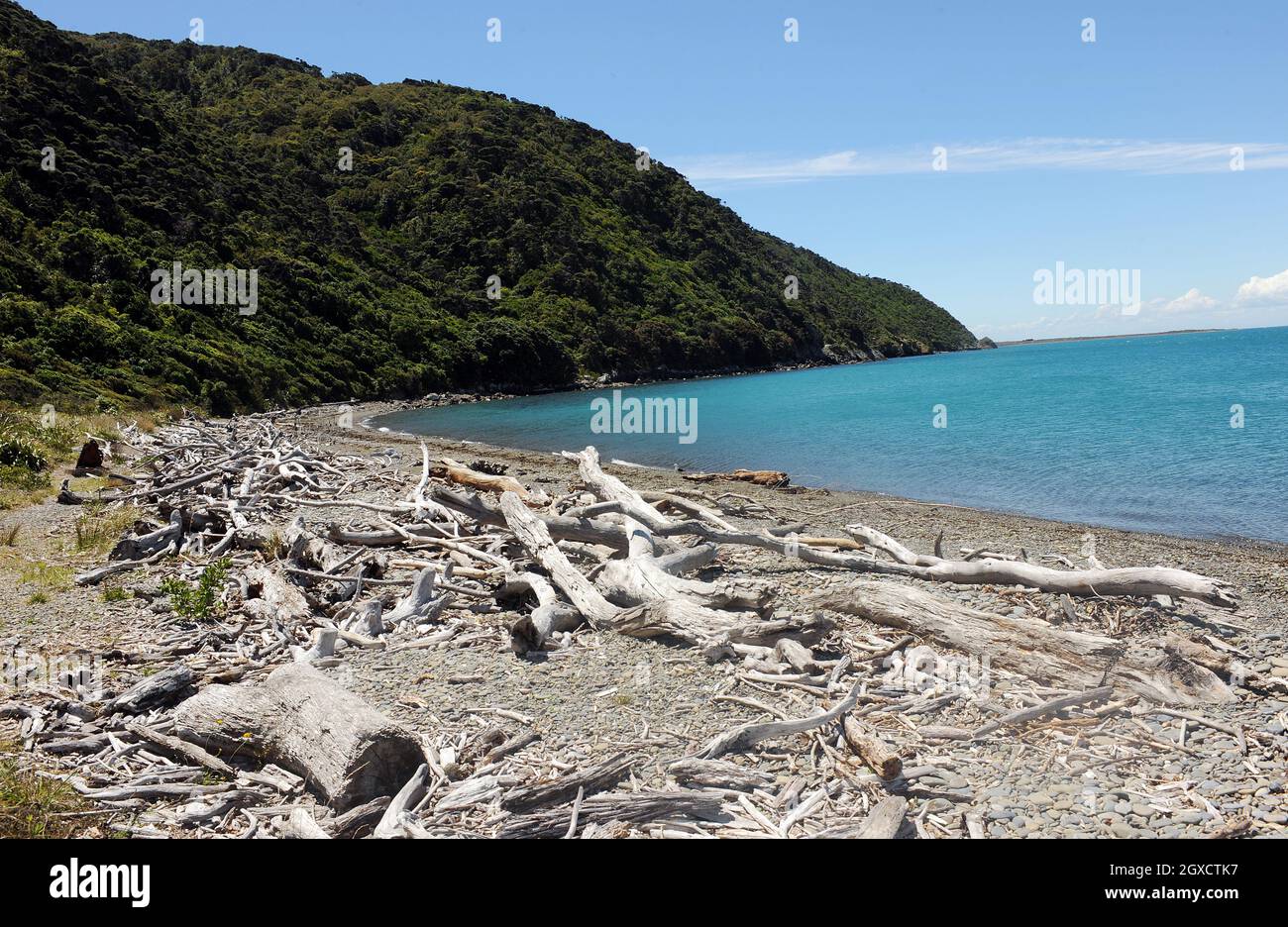 Ein Überblick über das Kapiti Island Nature Reserve am zweiten Tag seines Besuchs in Neuseeland am 18. Januar 2010 in Wellington, Neuseeland. Stockfoto