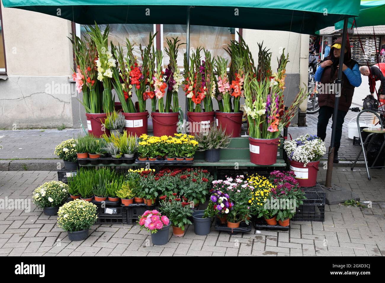 Blumenhändler auf dem zentralen Markt, Riga, Lettland. Stockfoto