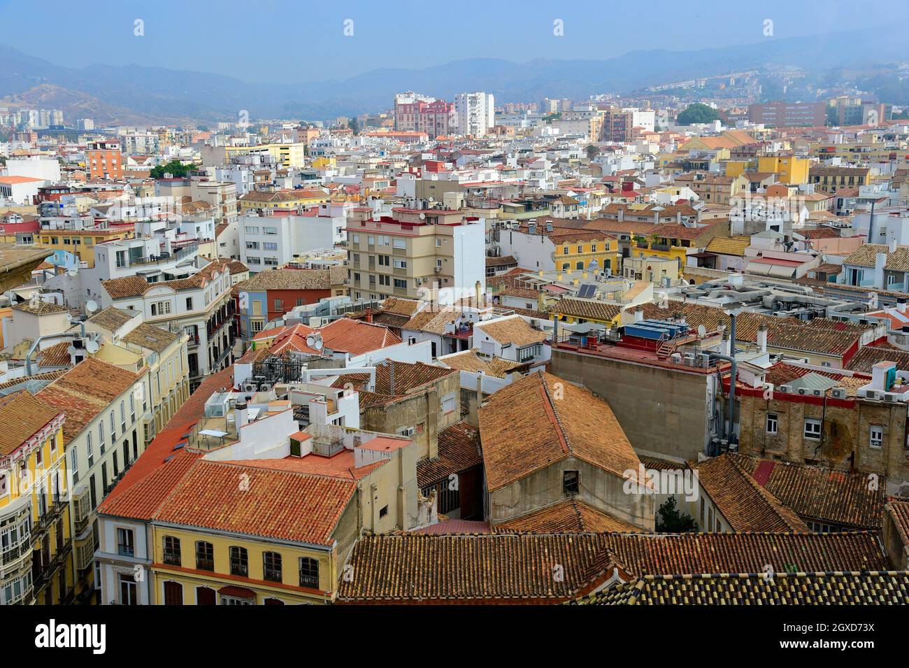 Blick über das Stadtzentrum von Malaga vom Dach der Kathedrale, an der Costa del Sol, Andalusien, Spanien. Stockfoto