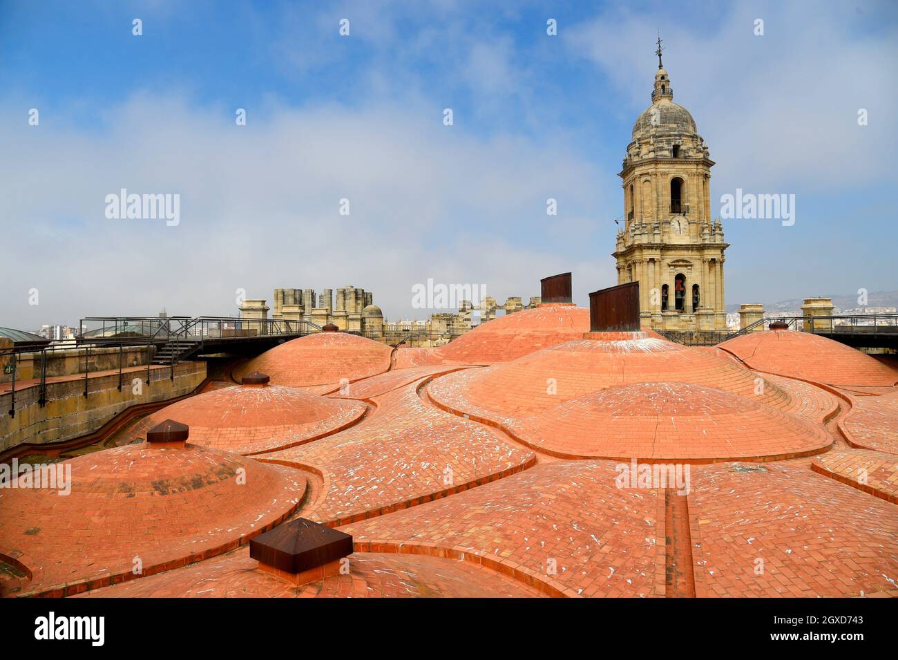 Das Dach oder die Kuppeln der Kathedrale der Heiligen Menschwerdung von Malaga, Andalusien, Spanien. Stockfoto