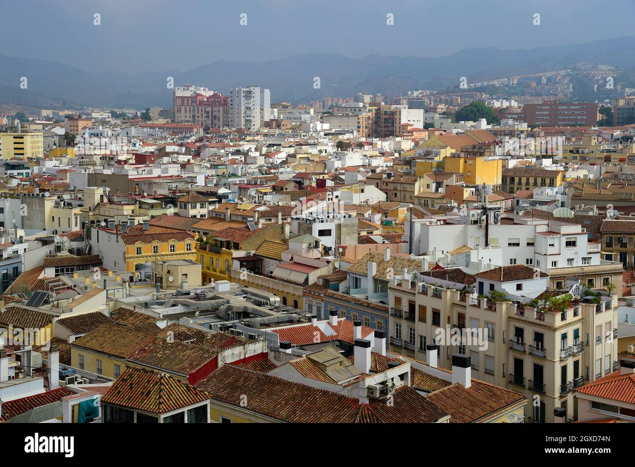 Blick über das Stadtzentrum von Malaga vom Dach der Kathedrale, an der Costa del Sol, Andalusien, Spanien. Stockfoto