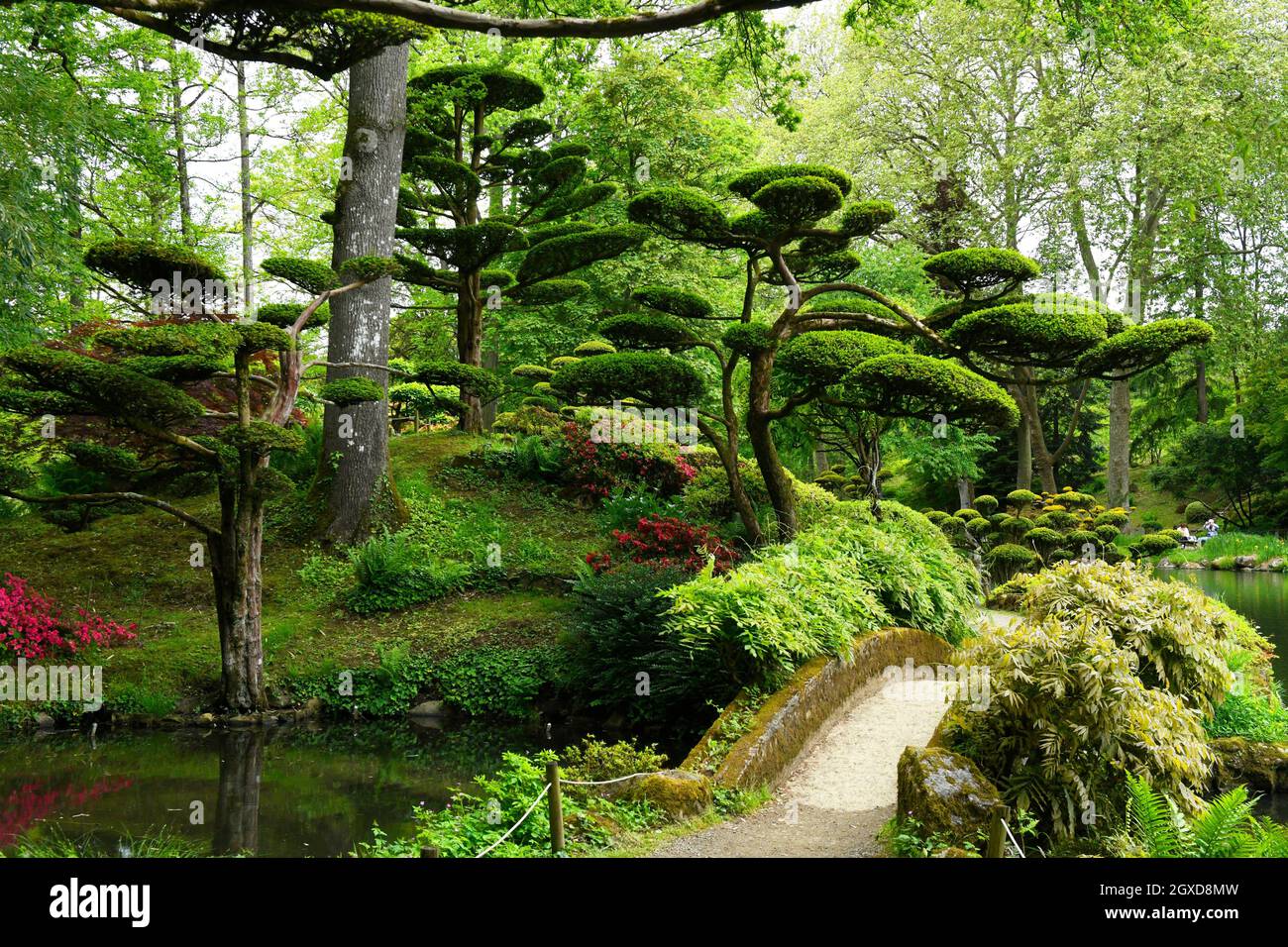 Parc Orientale de Maulevrier, Orientalischer Park von Maulevrier