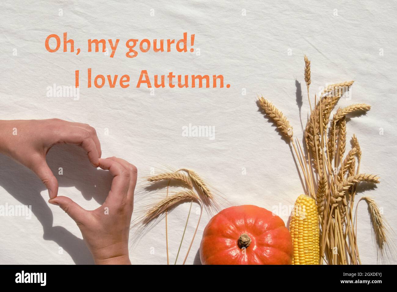 Fall flach legen mit orange Hokkaido Kürbis und trockenen Weizenohren auf Elfenbein Farbe Textil Hintergrund. Hände zeigen Herzzeichen. Text Oh, mein Kürbis, den ich liebe Stockfoto