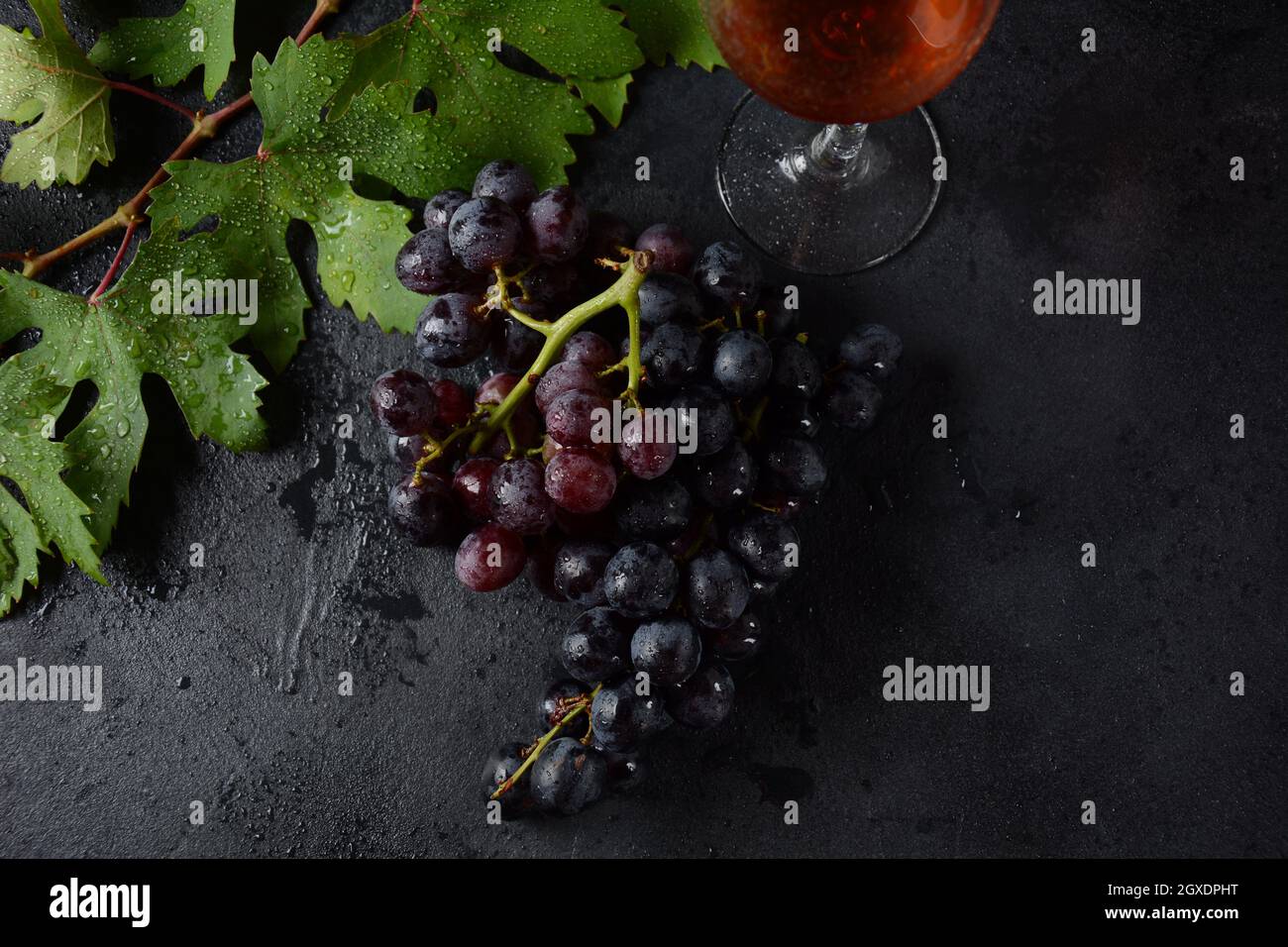 Bund dunkelblauer / schwarzer Trauben mit Blättern an Schwarzer Hintergrund Stockfoto
