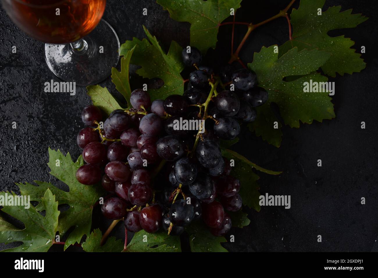 Bund dunkelblauer / schwarzer Trauben mit Blättern an Schwarzer Hintergrund Stockfoto