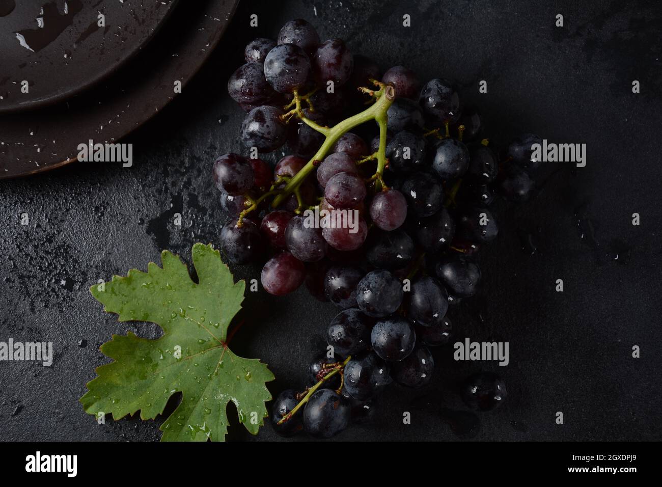 Bund dunkelblauer / schwarzer Trauben mit Blättern an Schwarzer Hintergrund Stockfoto