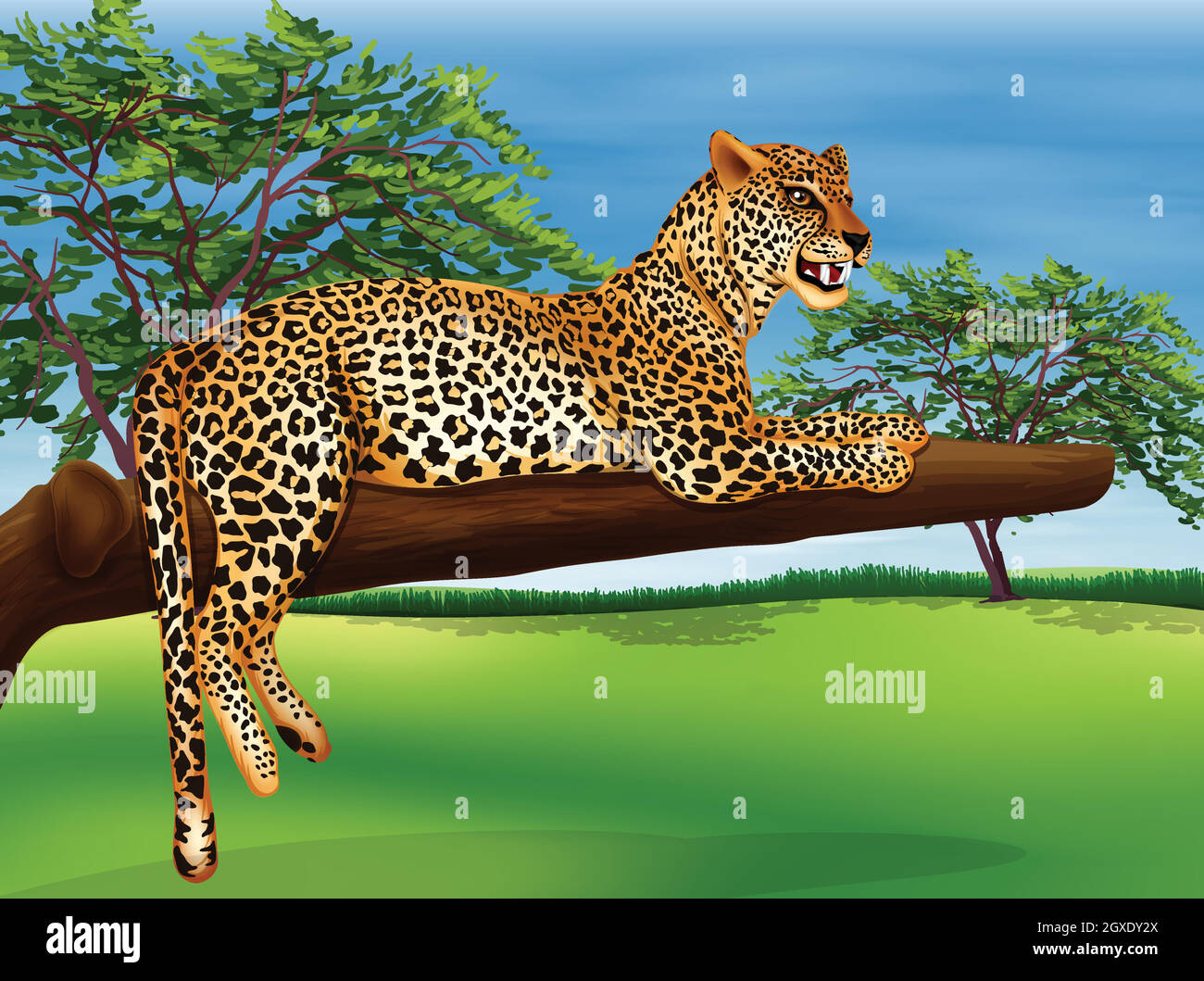 Ein Leopard, der über dem Ast eines Baumes liegt Stock Vektor