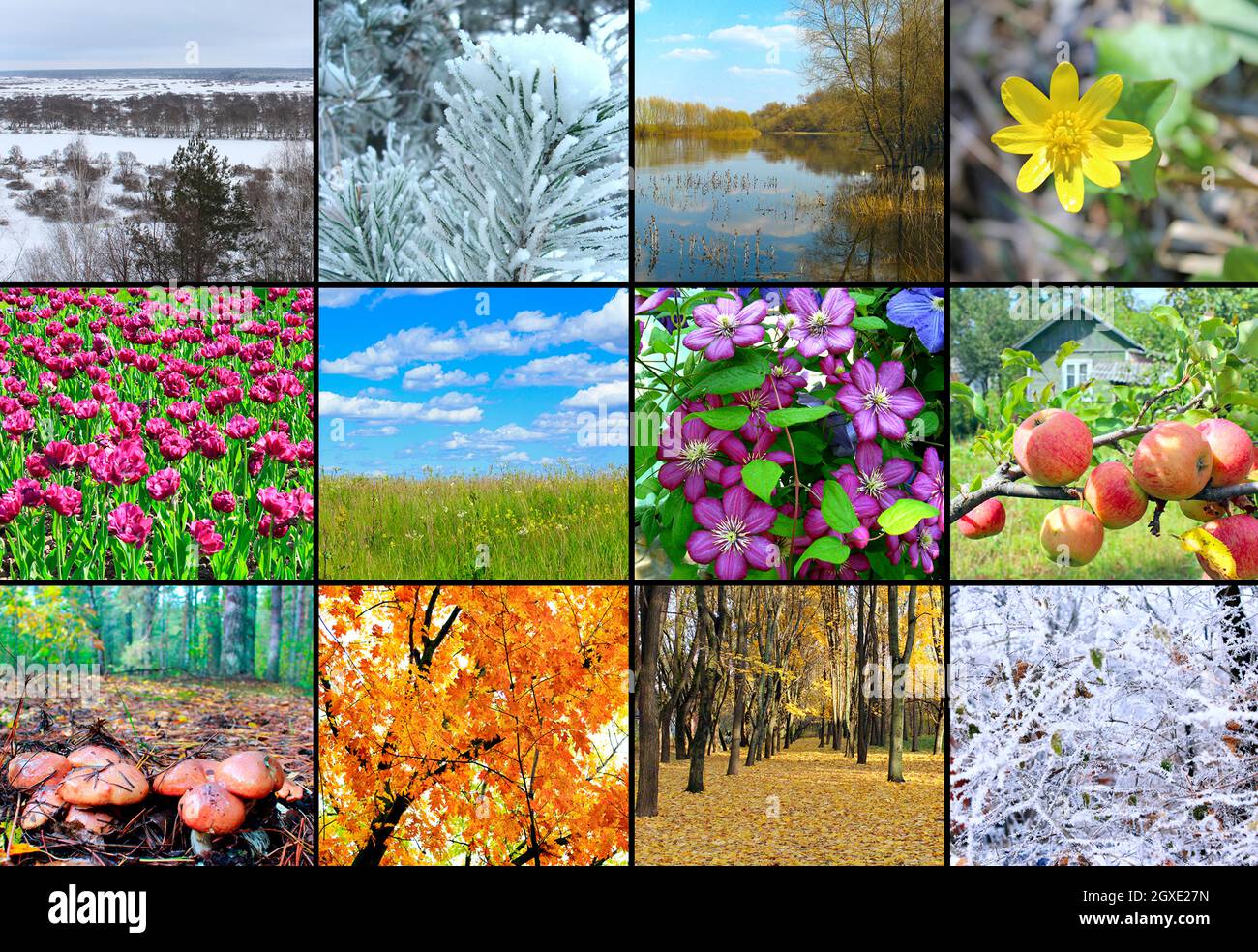 mit verschiedenen zwölf farbigen Bildern der Natur für Kalender leer Stockfoto