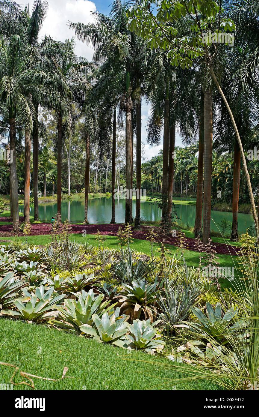 BRUMADINO, MINAS GERAIS, BRASILIEN - 17. JANUAR 2018: Tropischer Garten und Teilansicht des Sees im Instituto Inhotim (Inhotim-Institut) Stockfoto