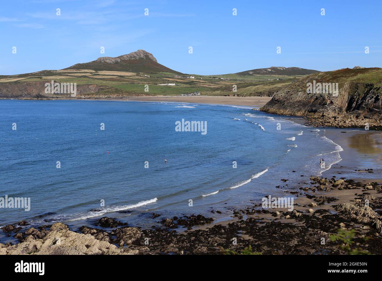 St David's Head, Carn Llidi und Whitesands Bay vom National Park Coast Path in Porthselau, St Davids, Pembrokeshire, Wales, Vereinigtes Königreich, Europa Stockfoto