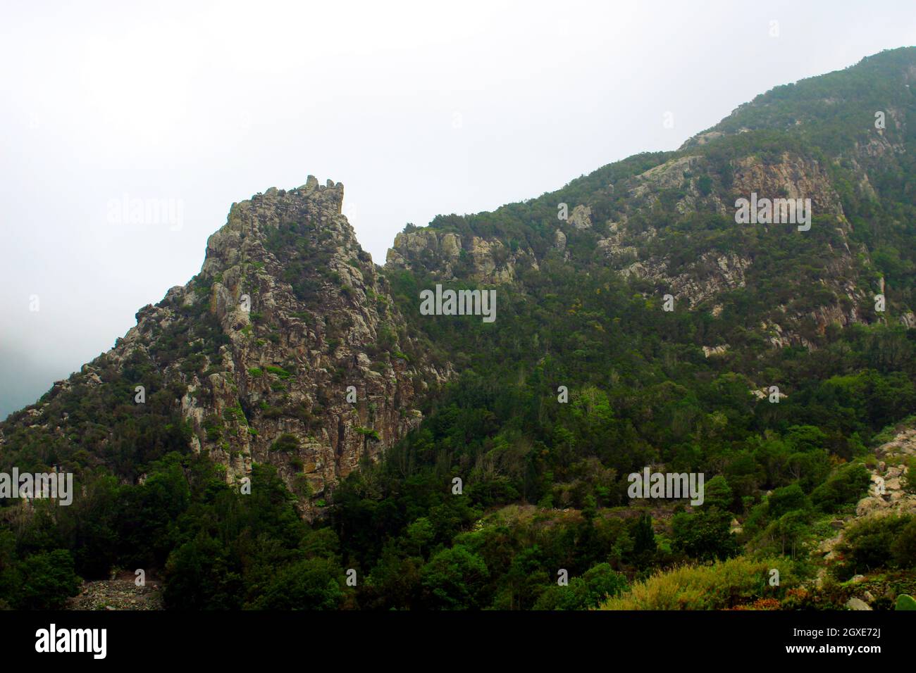 Montaña rocosa de Taganana Stockfoto