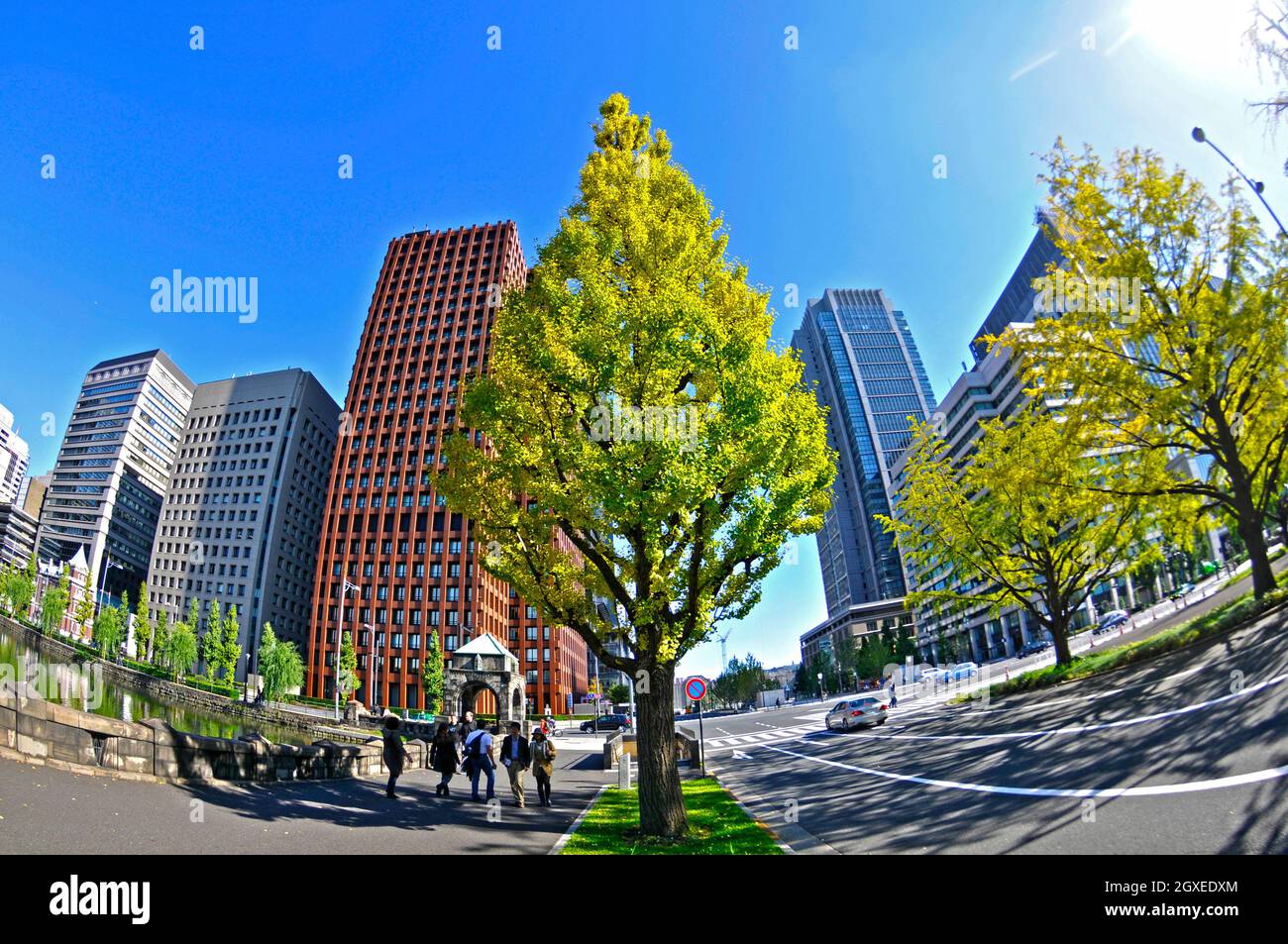 Angenehmer Spaziergang auf der Hibiya-dori Avenue, Downtown Tokyo, JapanTokyo, Japan Stockfoto