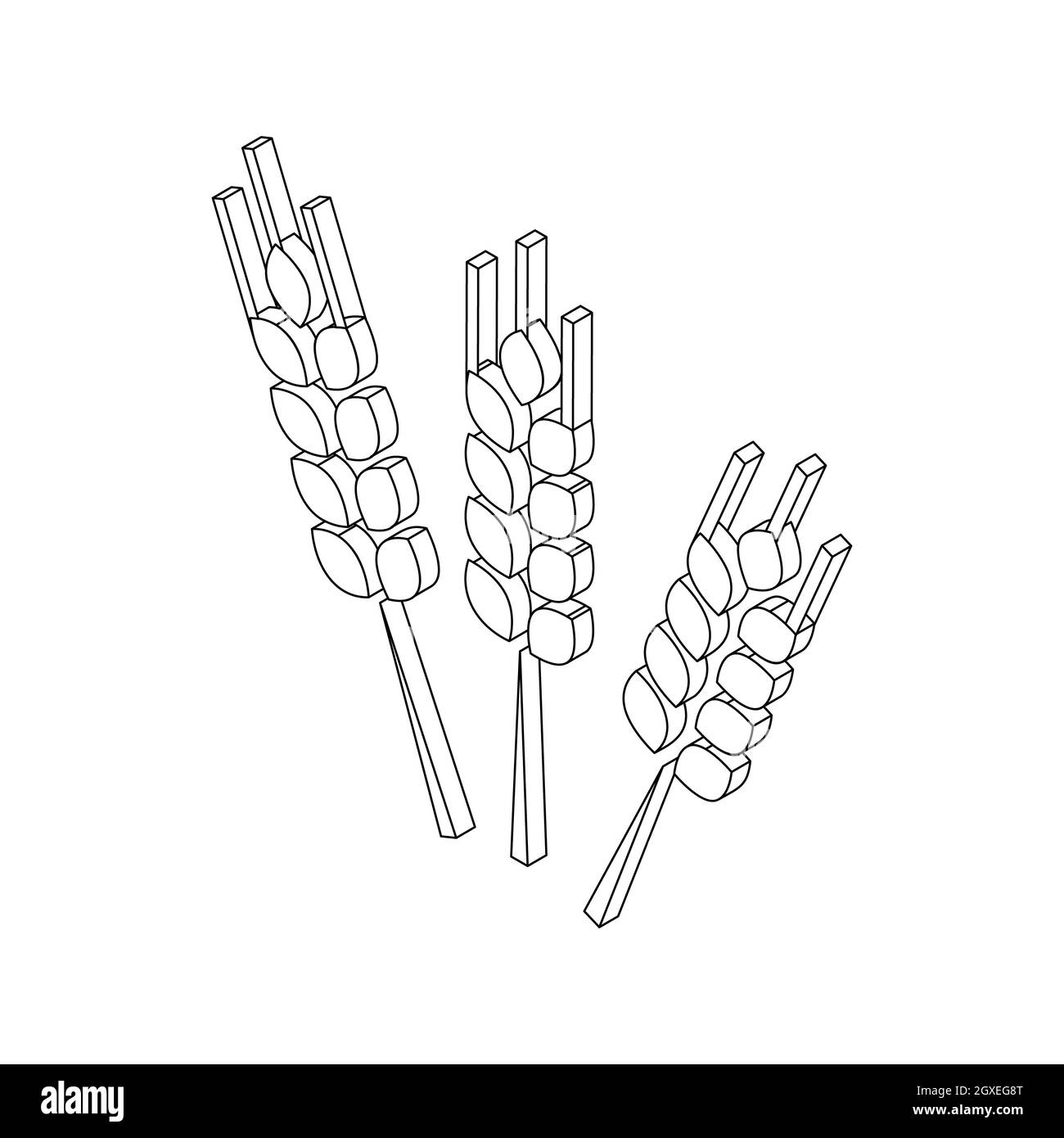 Drei Ohren von Barley Icon im isometrischen 3d-Stil auf weißem Hintergrund Stockfoto
