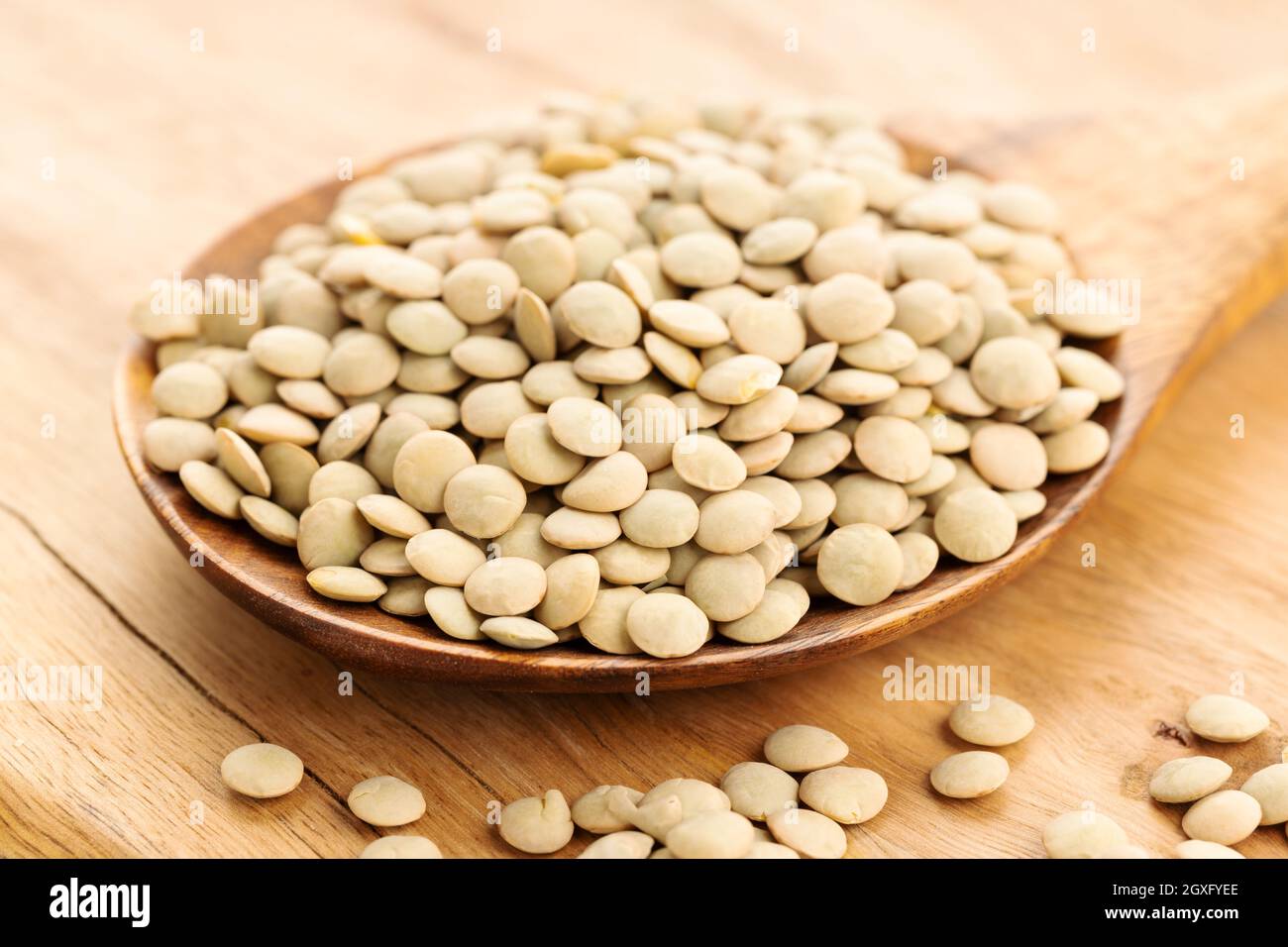 Ungekochte Linsen auf Holzlöffel auf dem Tisch. Linsenculinaris Stockfoto