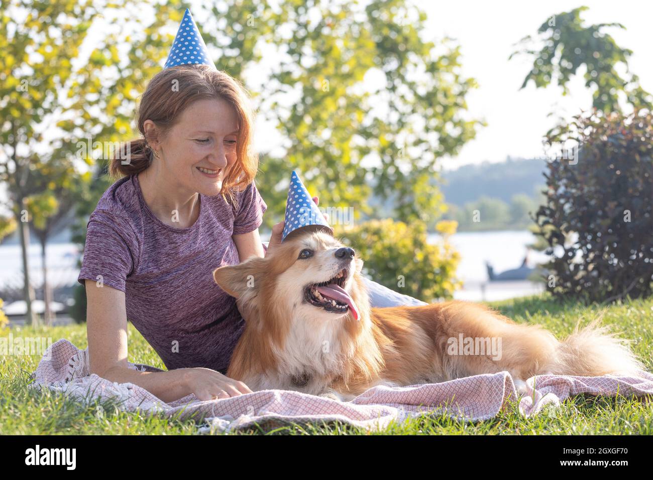 Hund in der Familie - Geburtstag aus schönen Corgi flauschig auf grünem Rasen im Geburtstagshut Stockfoto