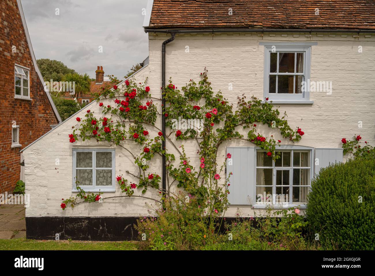 Altes Häuschen mit rosenbedeckten Wänden an der Quay St in Orford Suffolk Stockfoto