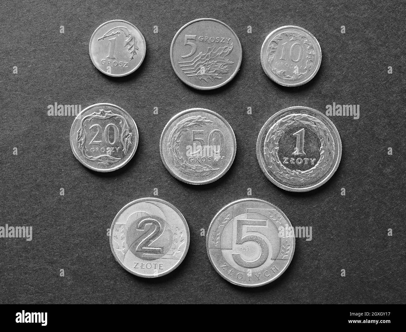 Polnische Zloty Münzen Geld (PLN), Währung von Polen in schwarz-weiß Stockfoto