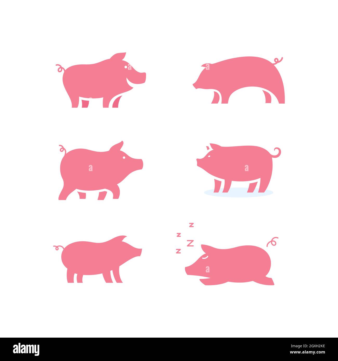 Pig Symbol Vorlage Vektor Symbol Illustration Design Stockfoto