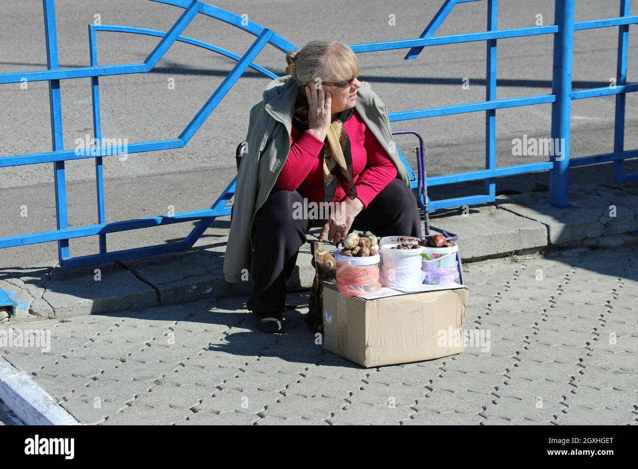 Frau, die Tulpenbirnen in der Pridnestrovianischen Republik verkauft Stockfoto