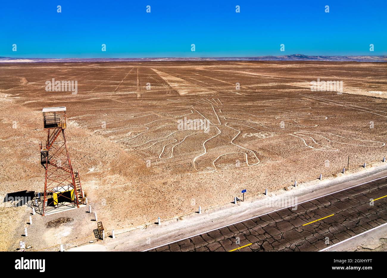 Die Baumfigur in Nazca in Peru Stockfoto