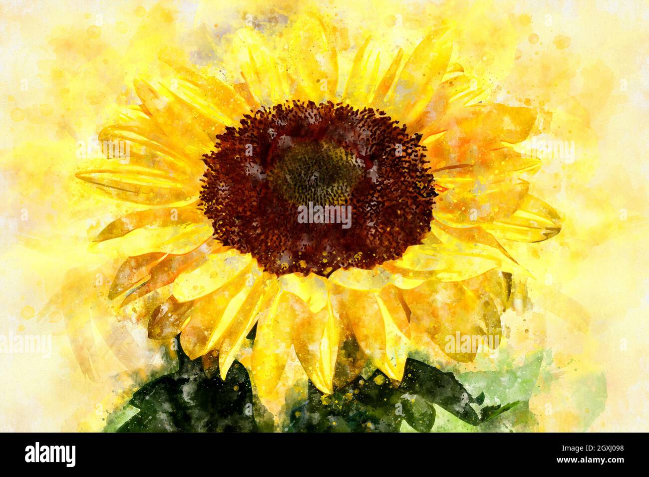 Sonnenblumenfeld. Farbe von Sonnenblumenköpfen in Aquarellen. Stockfoto