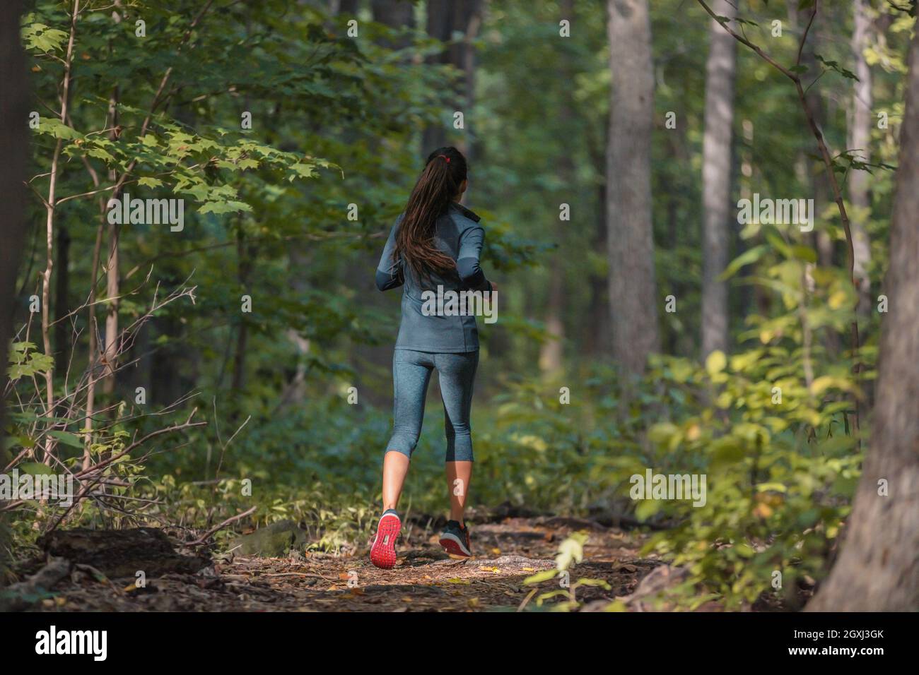 Herbstlauf Athlet Training im Freien in Wald Trail Natur. Läufer joggen von hinten in der Herbstsaison Sportbekleidung Stockfoto