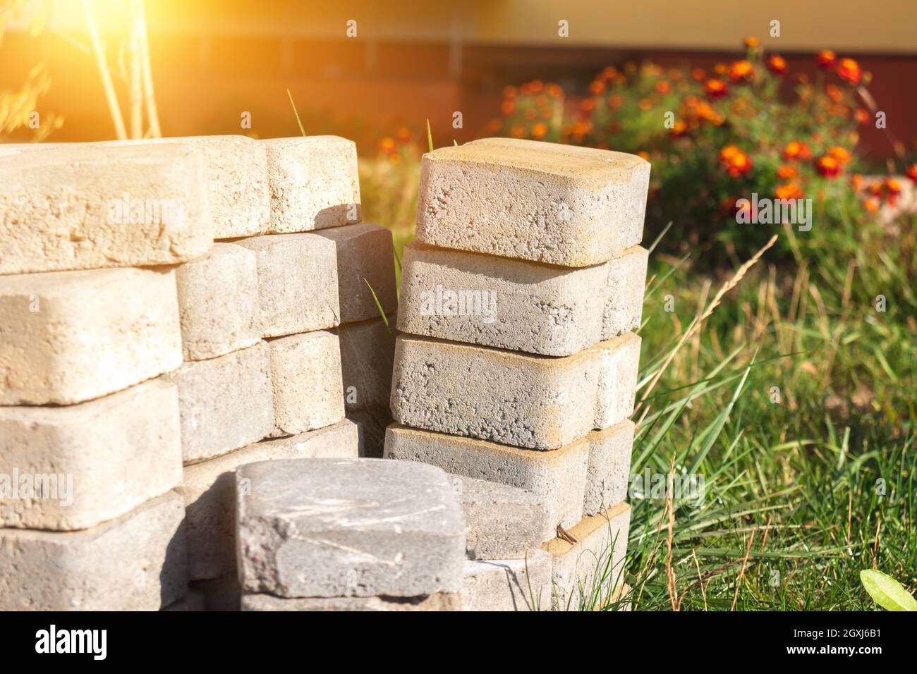 Verlegung von Pflasterplatten im Garten des Hinterhofs bei sonnigem Tag, Nahaufnahme Stockfoto