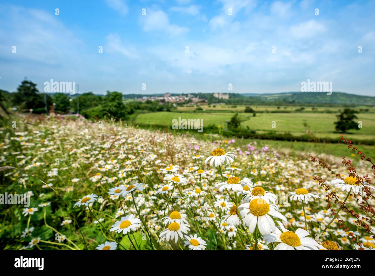 Arundel, 1. Juli 2021: Das Arun-Tal von Arundel Stockfoto