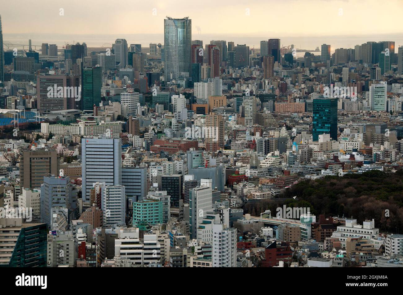 Blick von oben auf die Innenstadt von Tokio am Nachmittag, Japan Stockfoto