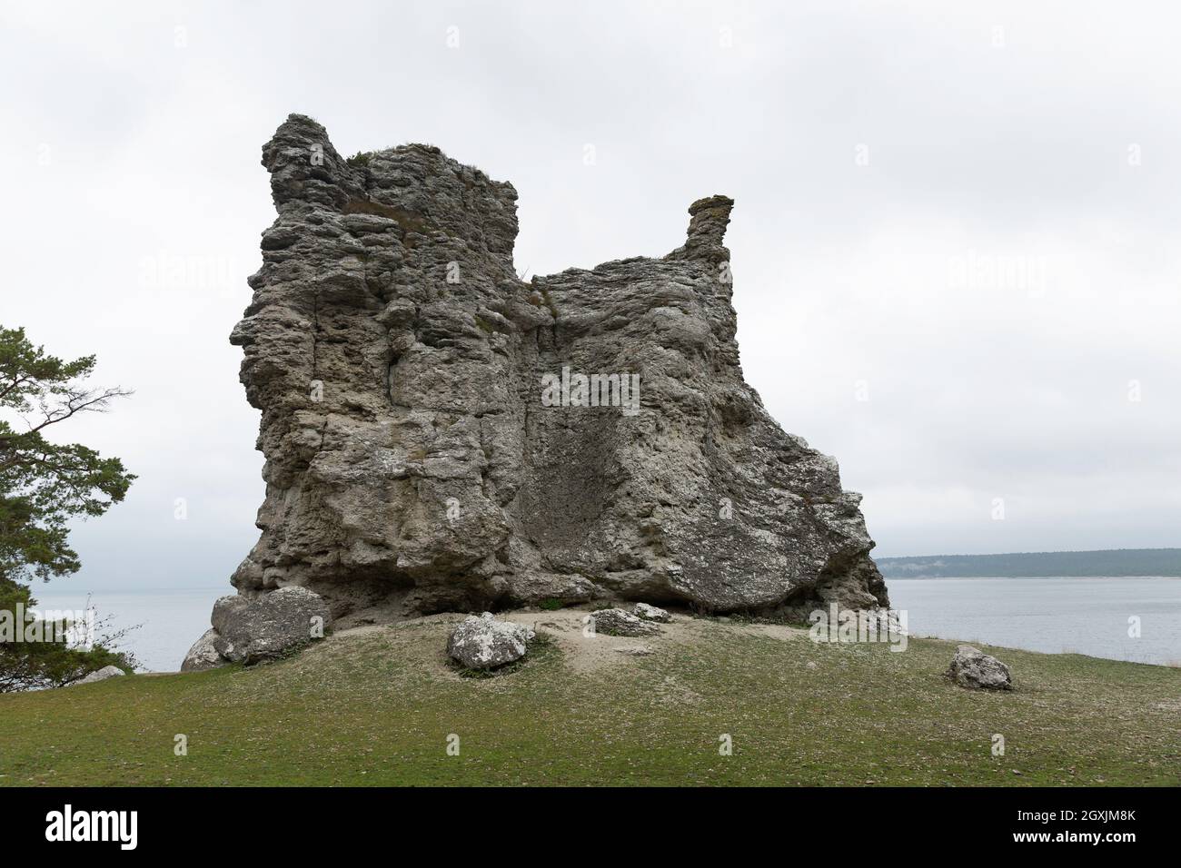 Der größte Meeresstapel, oder Rauk, auf Gotland, Schweden Stockfoto