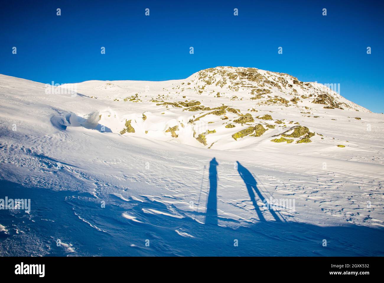 Schatten von zwei Personen beim Skifahren, Dovrefjell National Park, Norwegen Stockfoto