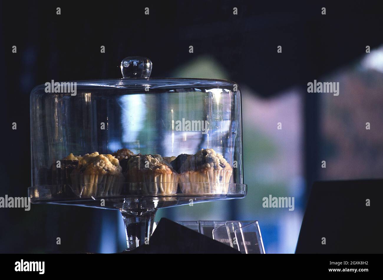 Verschiedene Muffins auf einem Glas-Cakestand mit einer Glaskuppel bedeckt Stockfoto
