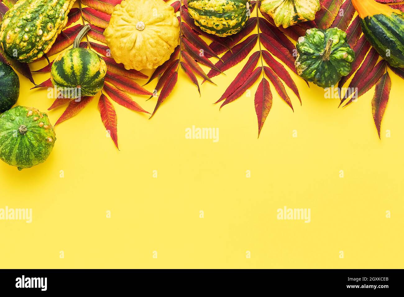 Herbstlicher Hintergrund mit Kürbissen und bunten Blättern auf hellgelbem Hintergrund. Happy Thanksgiving Day und Erntekonzept. Flach liegend, Kopierplatz Stockfoto