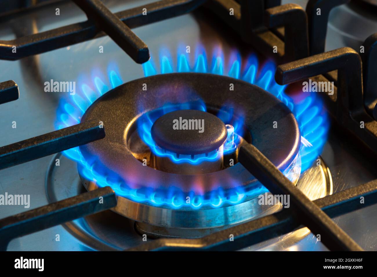 Gasbrand mit blauen Flammen auf dem Brenner eines Gasherdes. Konzept des CO2-Fußabdrucks und des Preises von Erdgas auf dem Markt Stockfoto