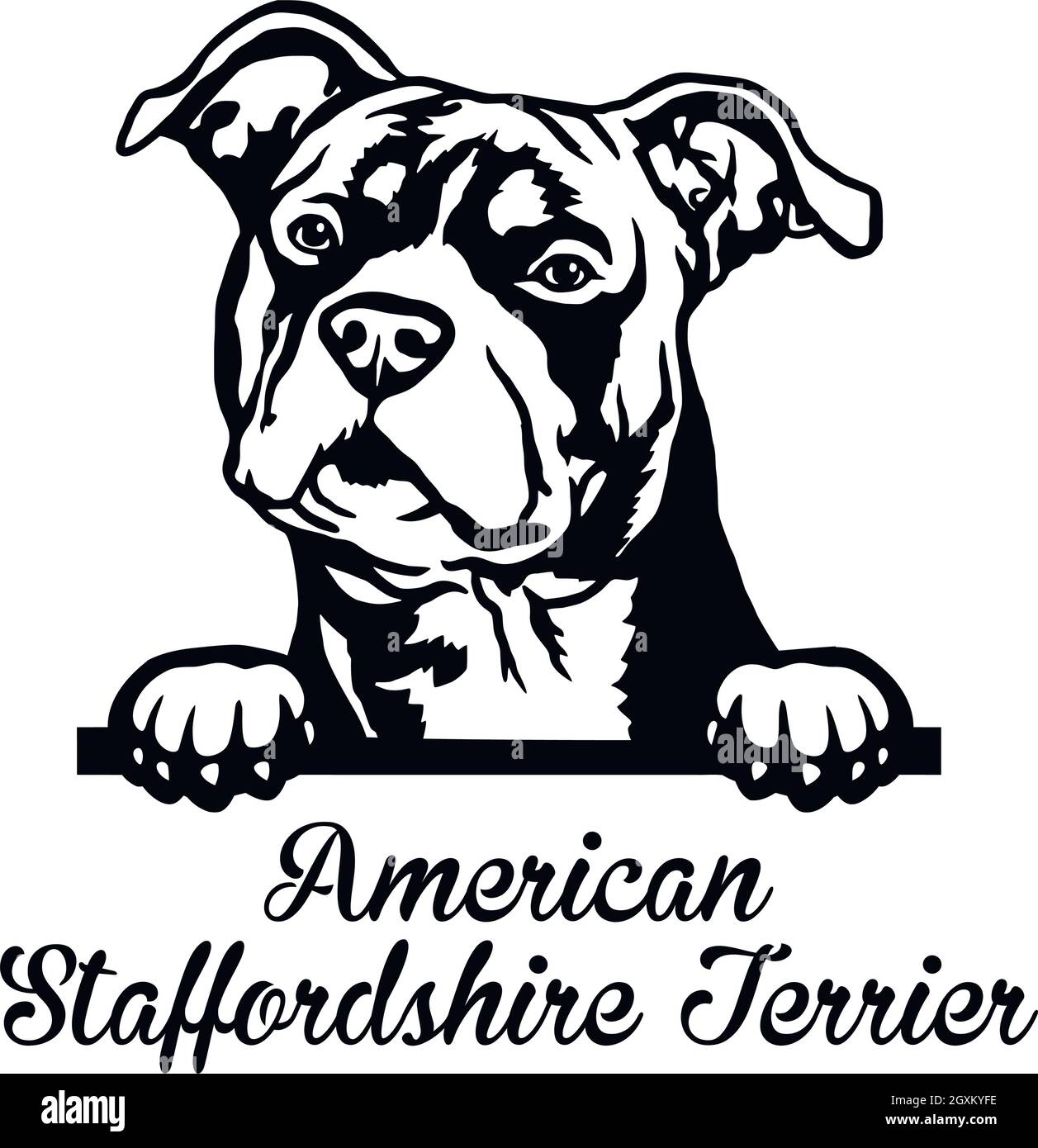 American Staffordshire Terrier Peeking Dog - Kopf isoliert auf weißem - Vektorstock Stock Vektor