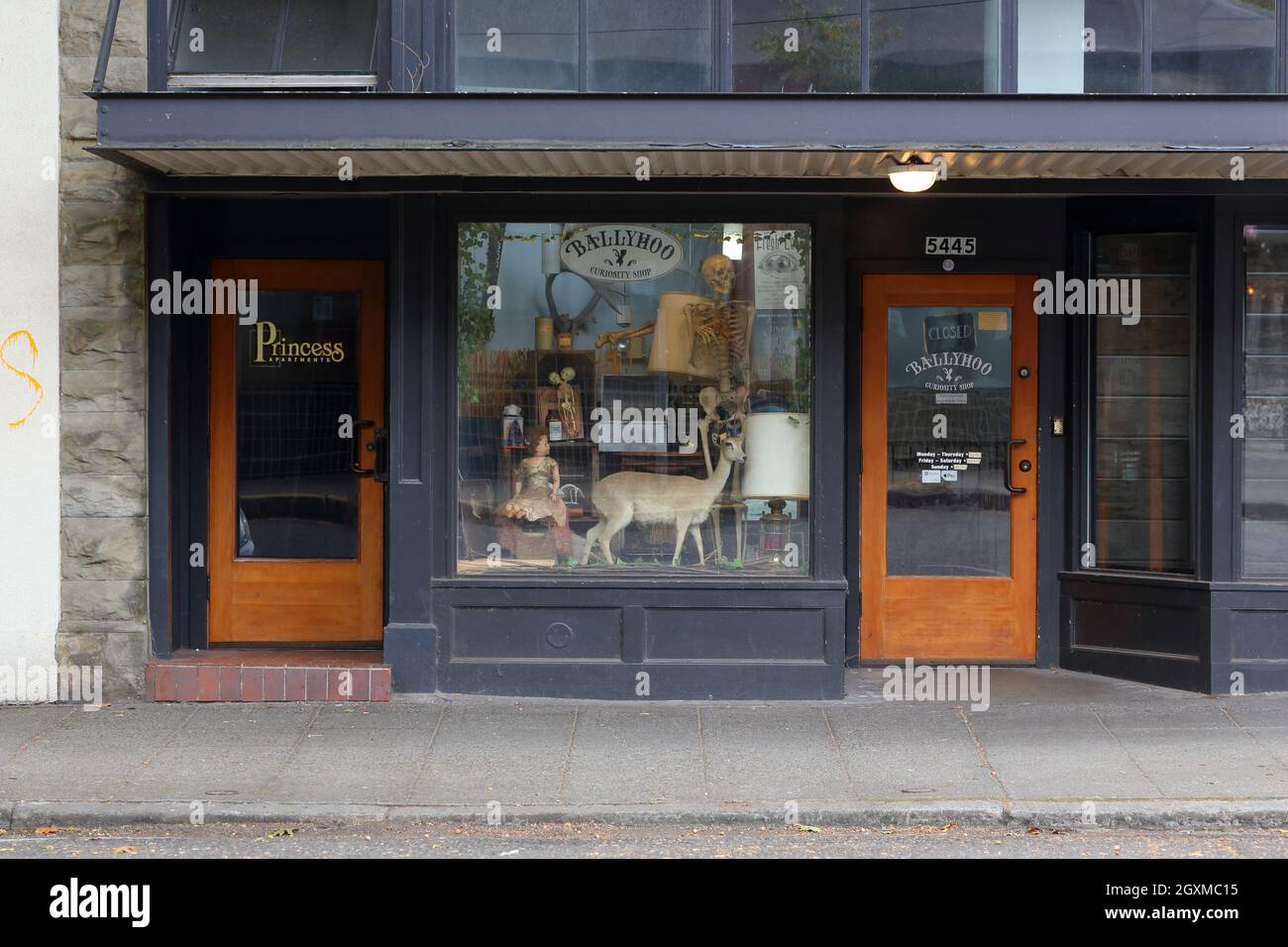 Ballyhoo Curioity Shop, 5445 Ballard Ave NW, Seattle Foto von einem Antiquitätengeschäft im Stadtteil Ballard. staat washington Stockfoto