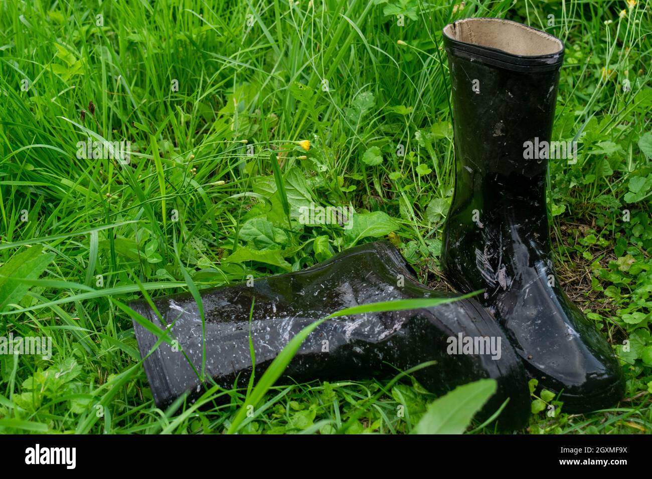 Ein Paar schwarze Gummistiefel im grünen Gras Stockfoto