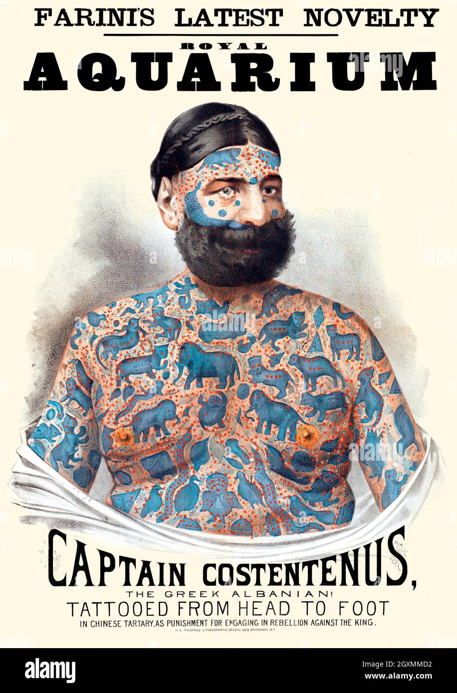 Kapitän Costentenus Stockfoto