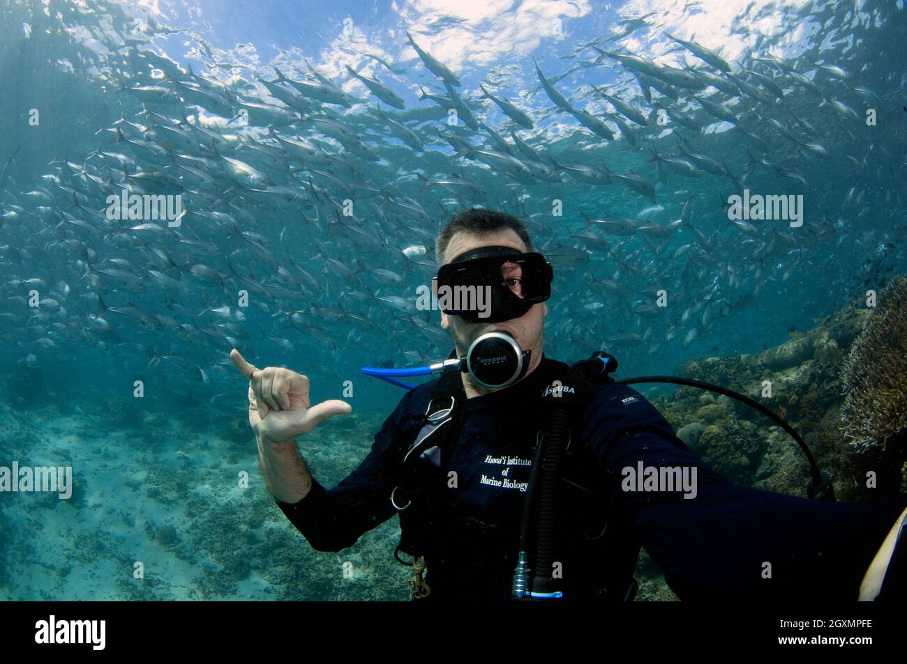 Scuba Diver Signale hängen lose oder "shaka" vor einer Schule von bigeye trevally, Caranx sexfasciatus, Sipadan, Malaysia Stockfoto