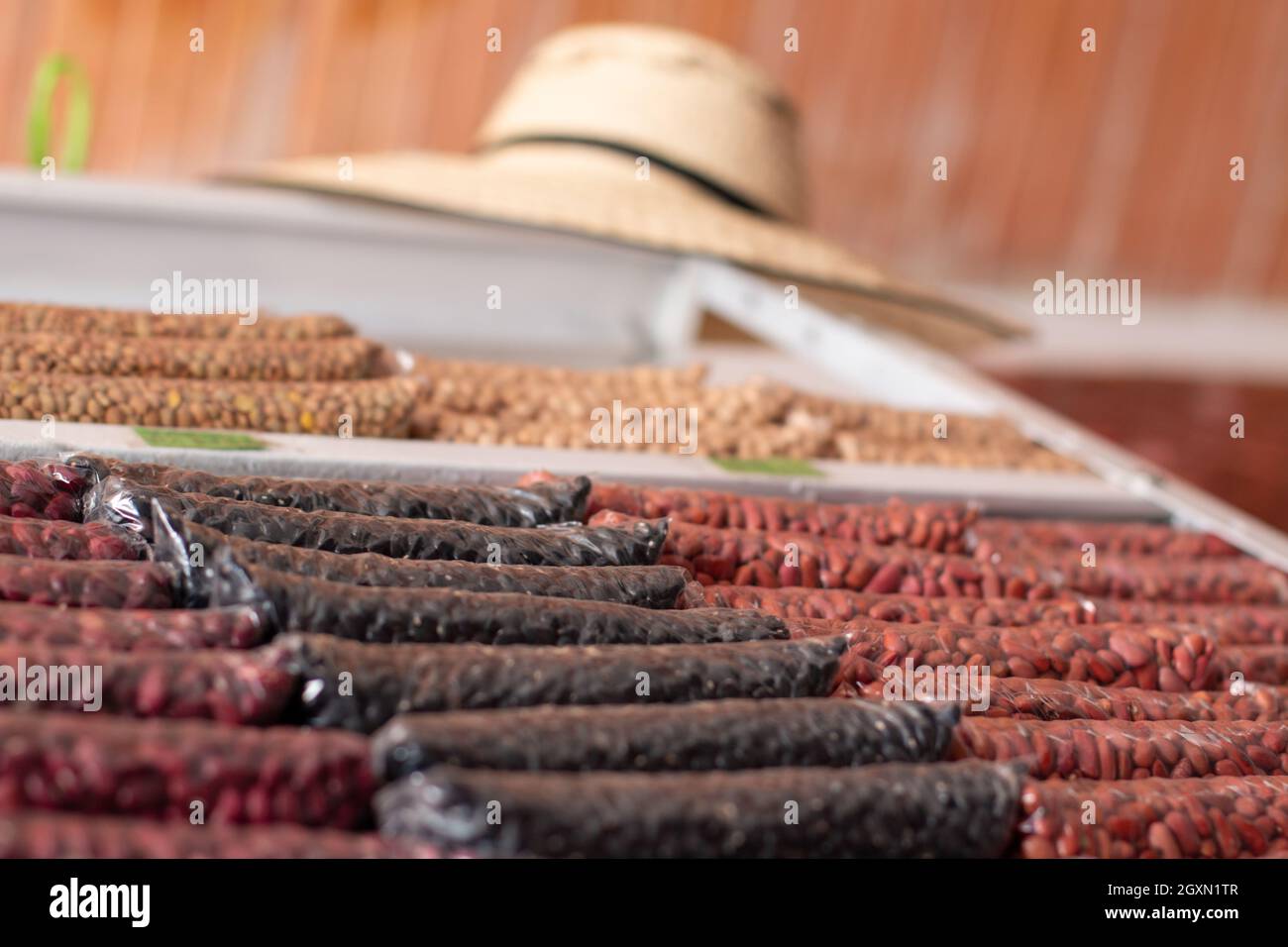 Körner, Bohnen, Linsen und Kichererbsen in klaren, markenfreien Tüten. Auswahl an trockenen Lebensmitteln in großen Mengen. Säcke von Samen zum Verkauf in einem Markt. Bauernhut. Stockfoto