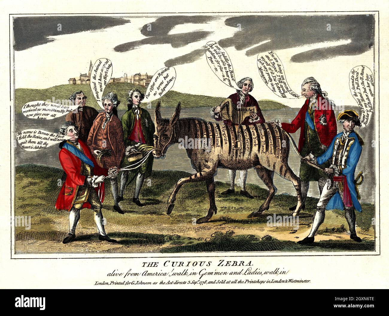 Das neugierige Zebra - lebendig aus Amerika! Stockfoto