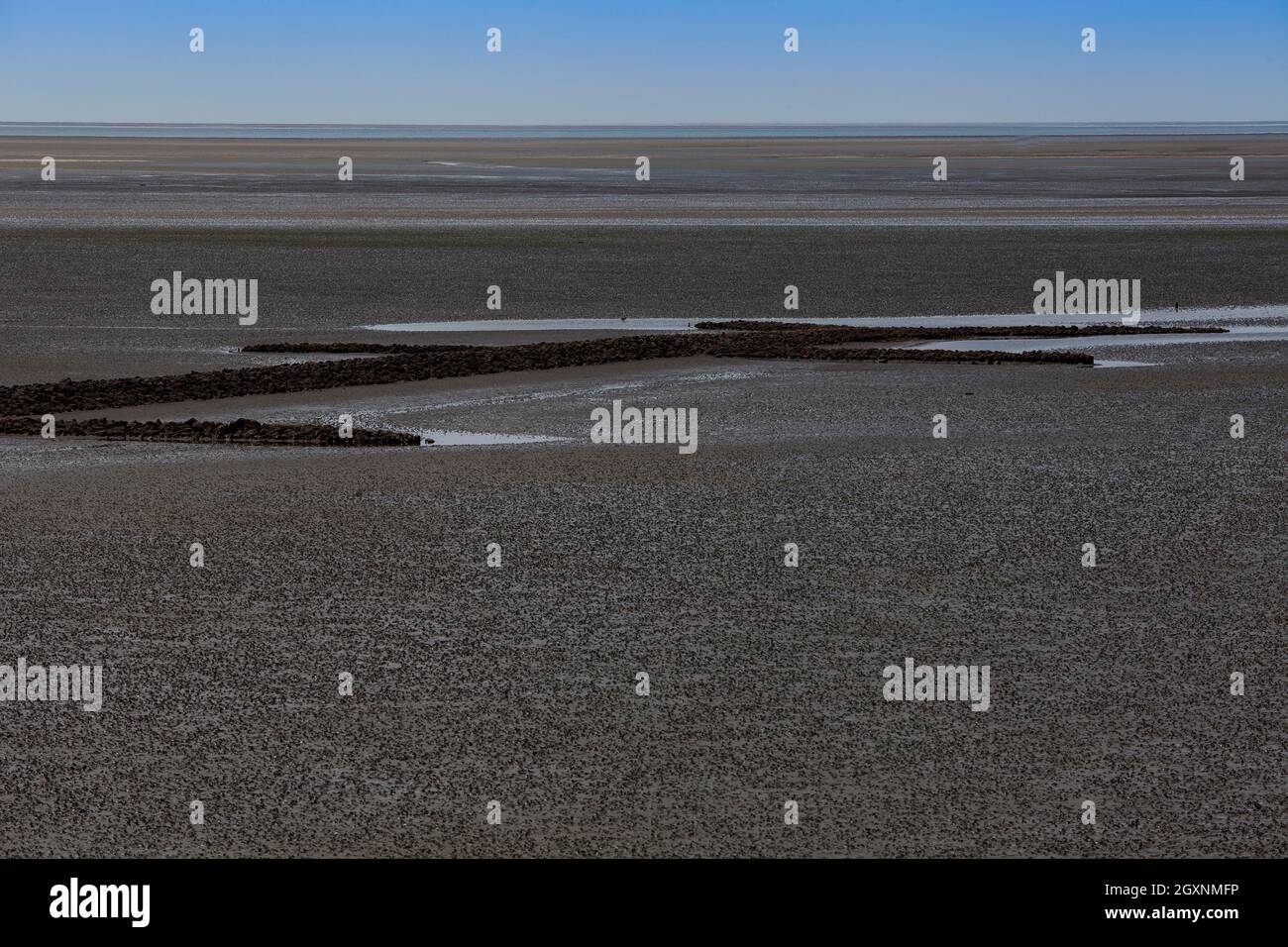 Nationalpark Wattenmeer bei Ebbe, in der Nähe von Büsum, Nordsee, Deutschland Stockfoto