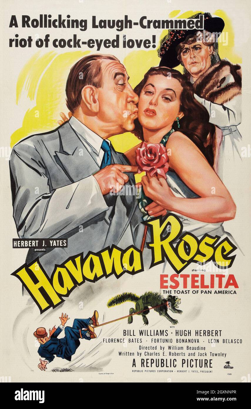 Havana Rose Stockfoto