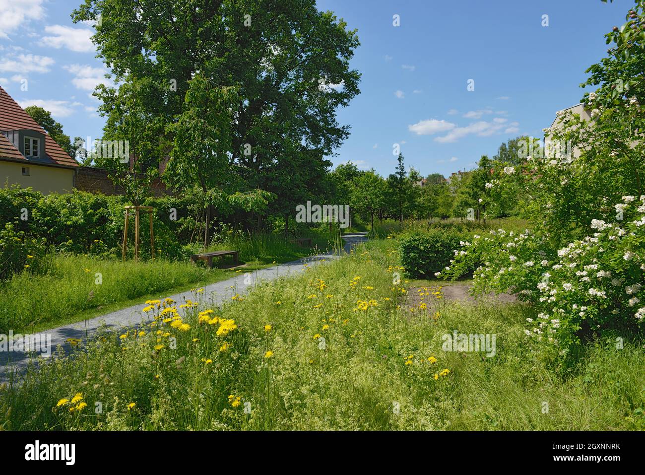 Comenius-Garten, Böhmisches Viertel, Neukölln, Berlin, Deutschland Stockfoto