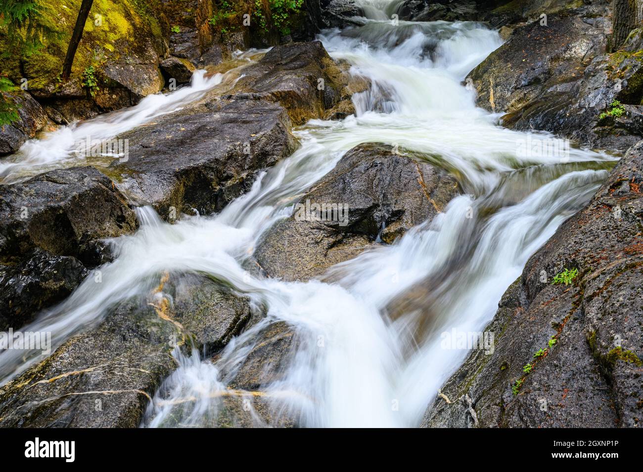 Frisches Wasser in einem Bach, das in Zeitlupe über Felsen bei Deception Falls im Bundesstaat Washington einen Weg nach unten findet Stockfoto