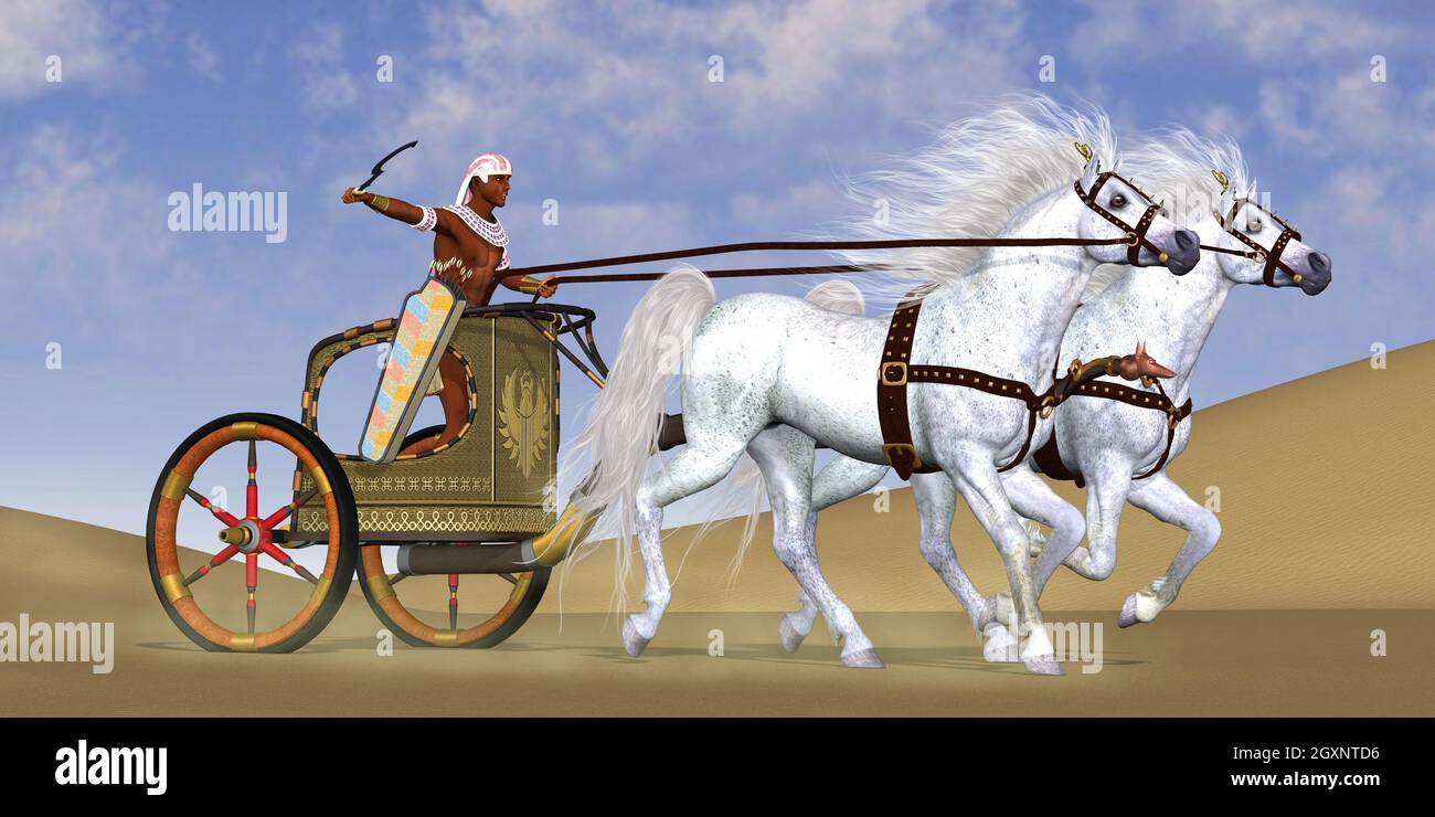 Ein ägyptischer Krieger reitet auf einem Wagen mit einem Team arabischer Pferde zu einer Schlacht im alten Ägypten. Stockfoto