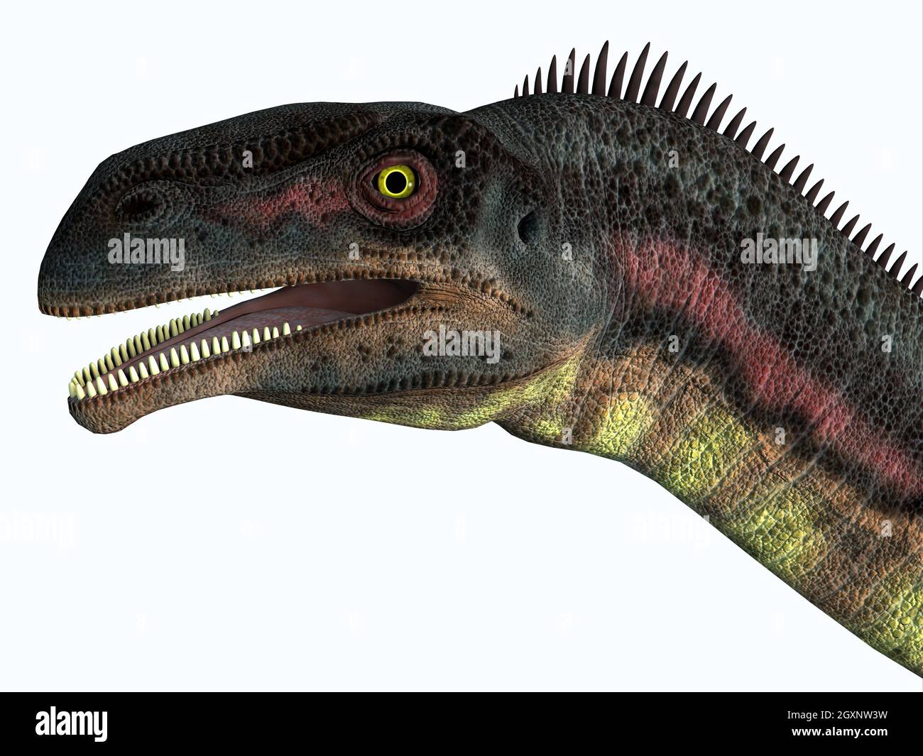 Plateosaurus war ein pflanzenfressender Prosauropoden-Dinosaurier, der in der Trias-Zeit in Europa lebte. Stockfoto