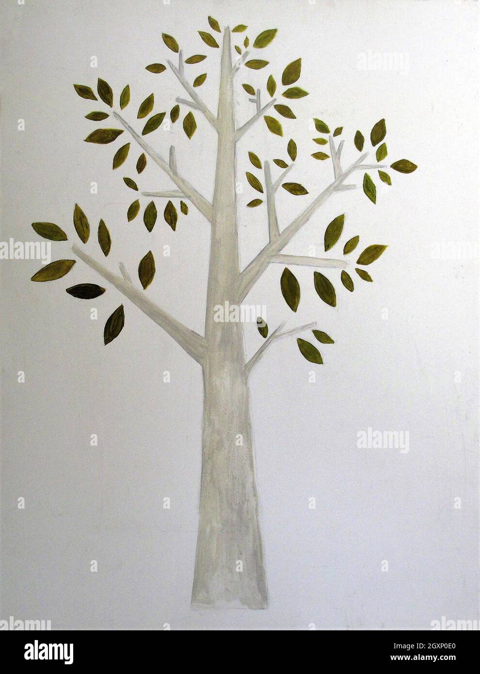 Baum des Lebens. Baumsymbol auf weißem Hintergrund isoliert. Stockfoto
