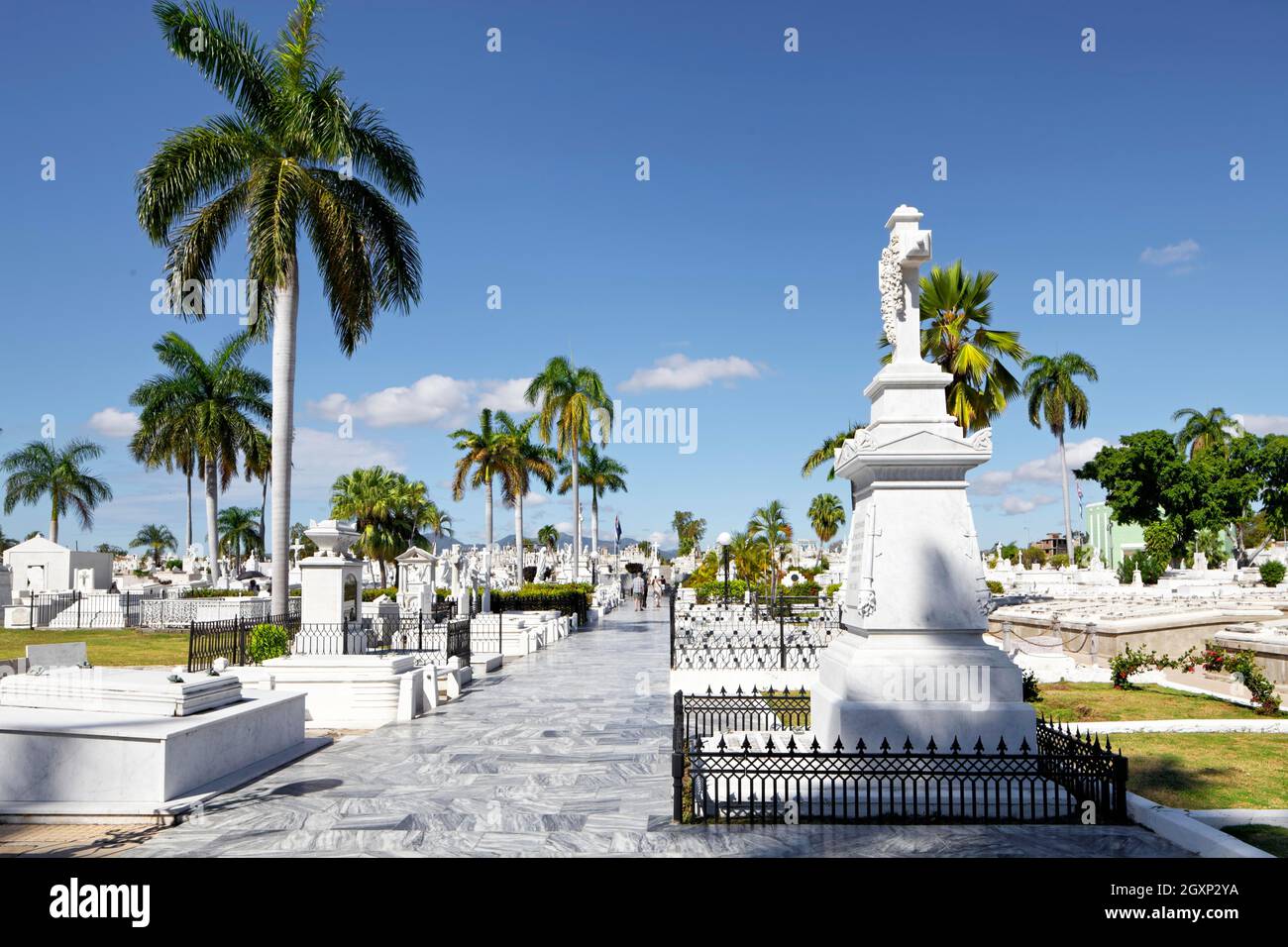 Marmorgräber, königliche Palme (Roystonea regia), Cemeterio Santa Ifigenia, Friedhof, Santiago de Cuba, Provinz Santiago de Cuba, Karibik, Kuba Stockfoto